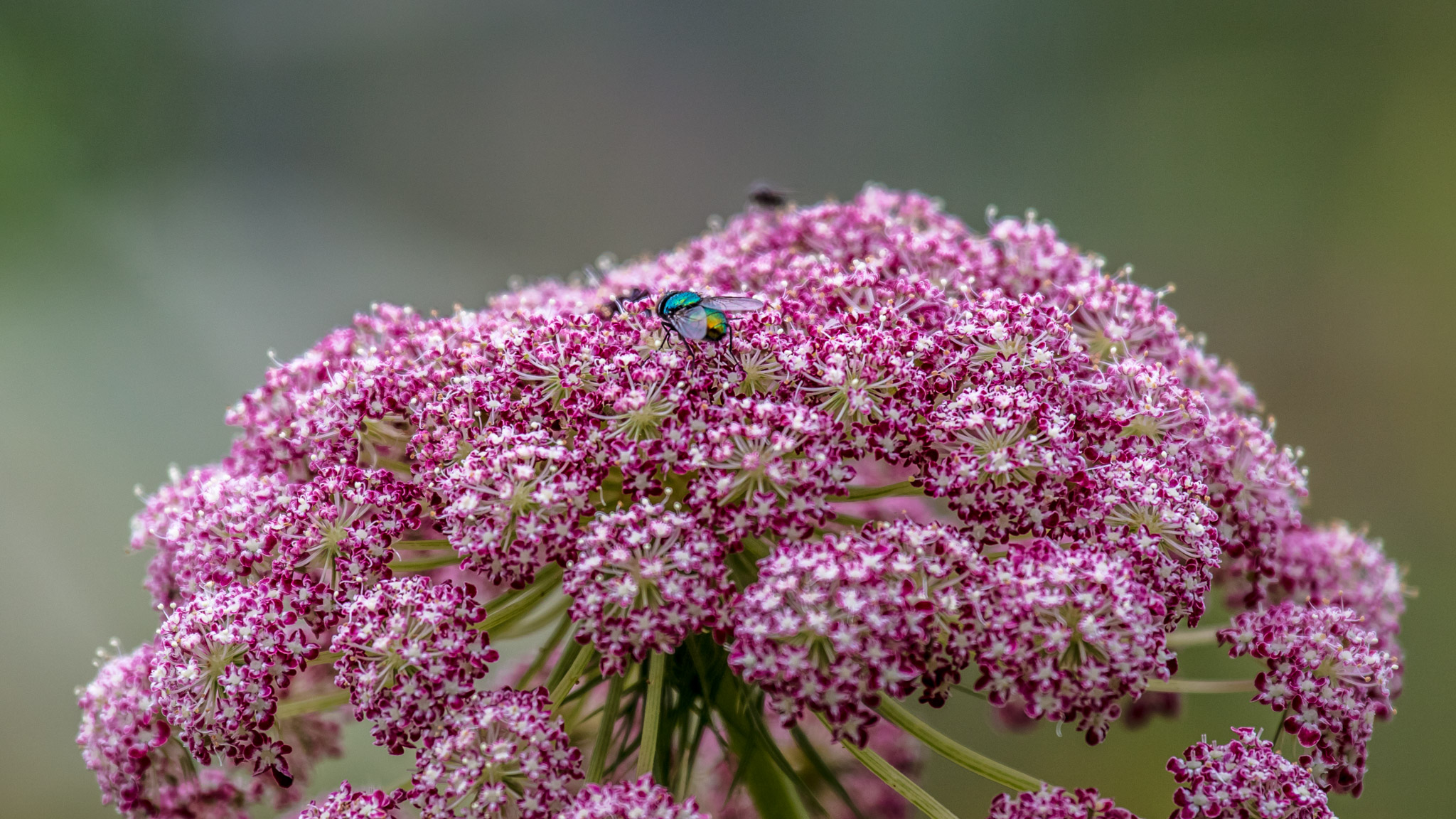 20210725100622 017879